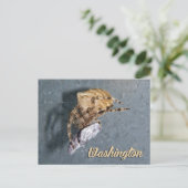 Carte postale de Washington, Araignée Gea (Debout devant)