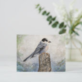 Carte postale de Whiskey Jack (Debout devant)