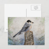 Carte postale de Whiskey Jack (Devant / Derrière)