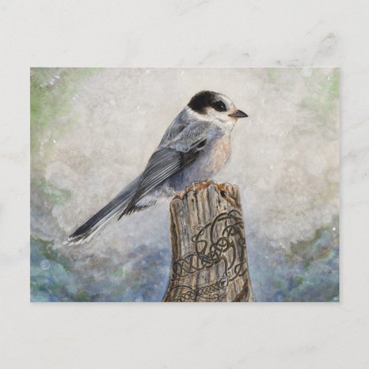 Carte postale de Whiskey Jack (Devant)