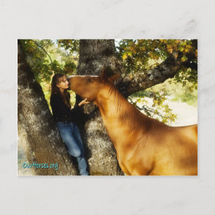 Carte postale de whisky Sundance