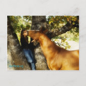 Carte postale de whisky Sundance (Devant)