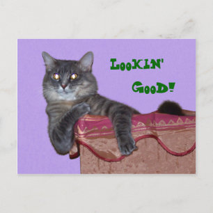 Carte postale de Xena Chillin - Customisée