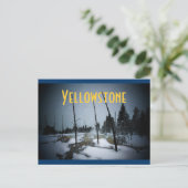 Carte postale de Yellowstone (Debout devant)