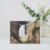 Carte postale de Yellowstone - Lower Yellowstone F (Debout devant)