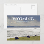 Carte postale de Yellowstone Parc national Bison B (Devant / Derrière)