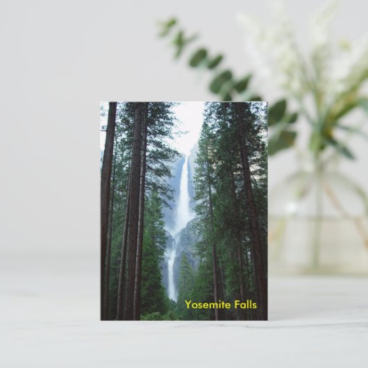 Carte postale de Yosemite Falls (Debout devant)
