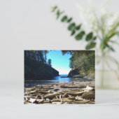 Carte Postale Dead Man's Cove, Cape Disappointment, Washington (Debout devant)