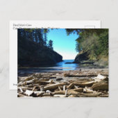 Carte Postale Dead Man's Cove, Cape Disappointment, Washington (Devant / Derrière)