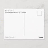 Carte Postale Dead Man's Cove, Cape Disappointment, Washington (Dos)