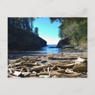 Carte Postale Dead Man's Cove, Cape Disappointment, Washington