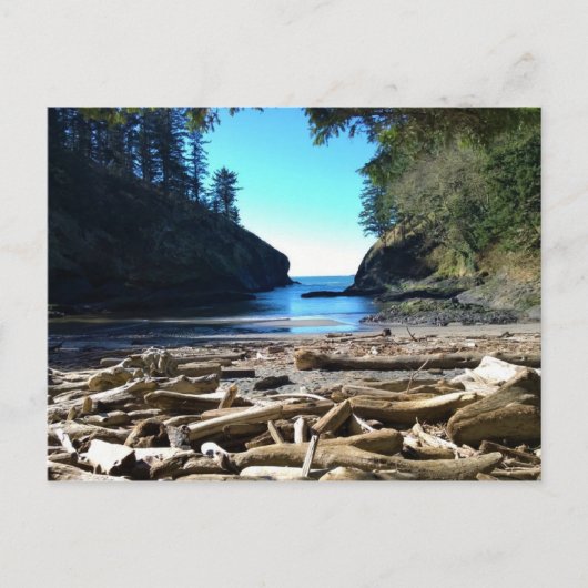 Carte Postale Dead Man's Cove, Cape Disappointment, Washington (Devant)