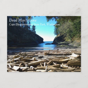 Carte Postale Dead Man's Cove, Cape Disappointment, Washington