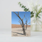 Carte postale Dead Vlei, Namibie (Debout devant)