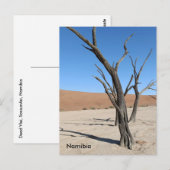 Carte postale Dead Vlei, Namibie (Devant / Derrière)