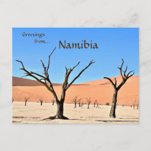 Carte Postale Dead Vlei Sossusvlei Namibie
