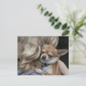 Carte Postale Dearly Beloved (Debout devant)