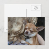 Carte Postale Dearly Beloved (Devant / Derrière)