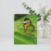 Carte Postale déblaiement (Debout devant)