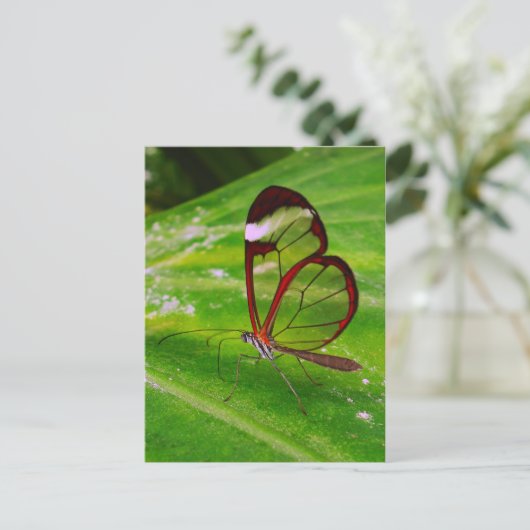 Carte Postale déblaiement (Debout devant)