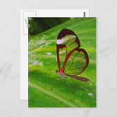 Carte Postale déblaiement (Devant / Derrière)