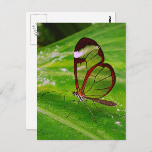 Carte Postale déblaiement (Devant / Derrière)