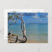 Carte Postale Débris pour Aveugle (Devant / Derrière)