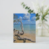 Carte Postale Débris pour Aveugle (Debout devant)