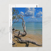 Carte Postale Débris pour Aveugle (Devant / Derrière)