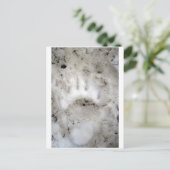 Carte Postale début de saison (Debout devant)