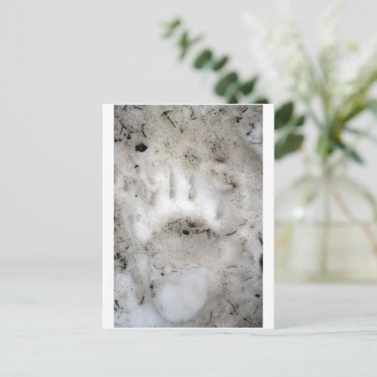 Carte Postale début de saison (Debout devant)