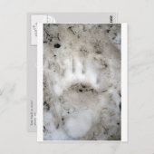 Carte Postale début de saison (Devant / Derrière)