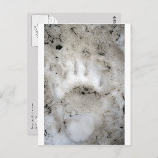 Carte Postale début de saison (Devant / Derrière)