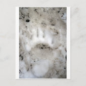 Carte Postale début de saison (Devant)