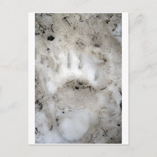 Carte Postale début de saison (Devant)