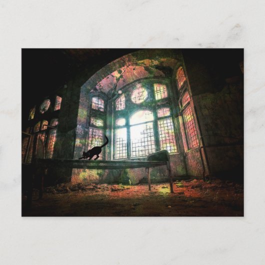 Carte Postale Décadage urbain Vieux Verre Noir Chat (Devant)