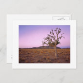 Carte Postale " Décalage géométrique " (Devant / Derrière)