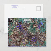 CARTE POSTALE DÉCEMBRE (Devant / Derrière)