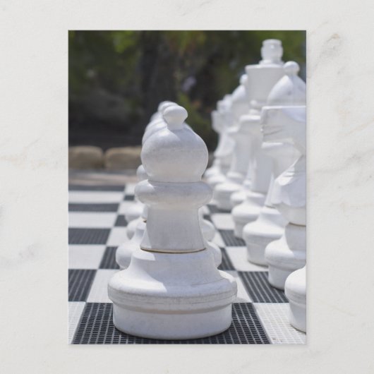 Carte postale d'échecs (Devant)