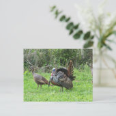 Carte Postale Déchets à West Lake Toho (Debout devant)