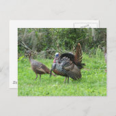 Carte Postale Déchets à West Lake Toho (Devant / Derrière)