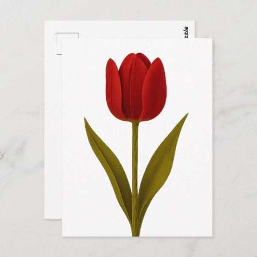 Carte Postale Déclaration d'amour (Devant / Derrière)