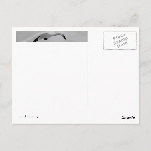 Carte Postale Décollage (Dos)