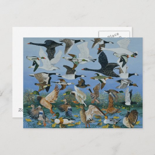 Carte Postale Décollage 1996 (Devant / Derrière)