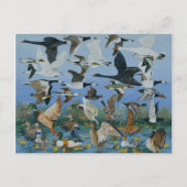 Carte Postale Décollage 1996 (Devant)