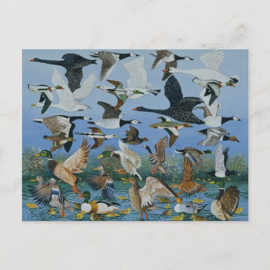 Carte Postale Décollage 1996 (Devant)