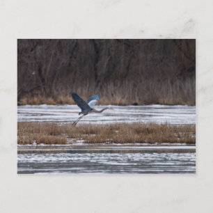 Carte Postale Décollage d'Heron