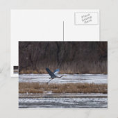 Carte Postale Décollage d'Heron (Devant / Derrière)