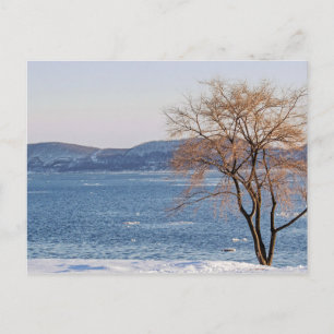 Carte Postale Décongélation du printemps, quai pour bateaux à va