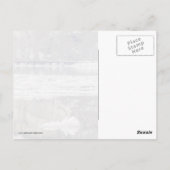 Carte Postale Décongélation du ressort vertical (Dos)